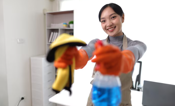 Tips for Improving Maid Performance